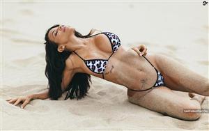 Vida Guerra - Raunchy and erotic Cuban-American glamour model in bikini